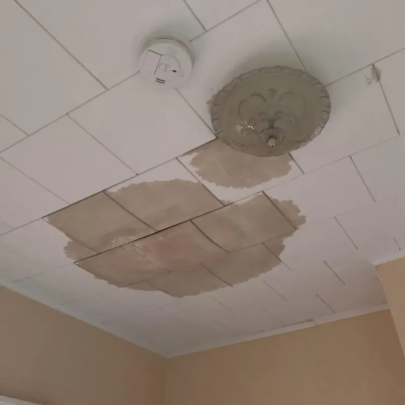 Ceiling Water Damage Repair in Stephens County, TX