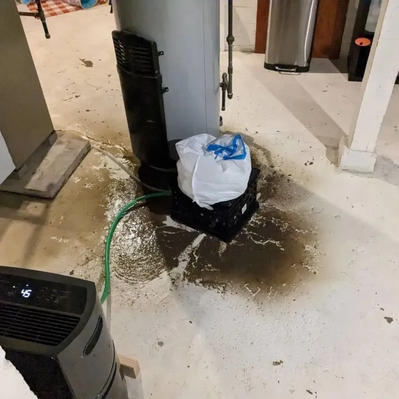 Sewage Backup Cleanup Service in Stephens County, TX